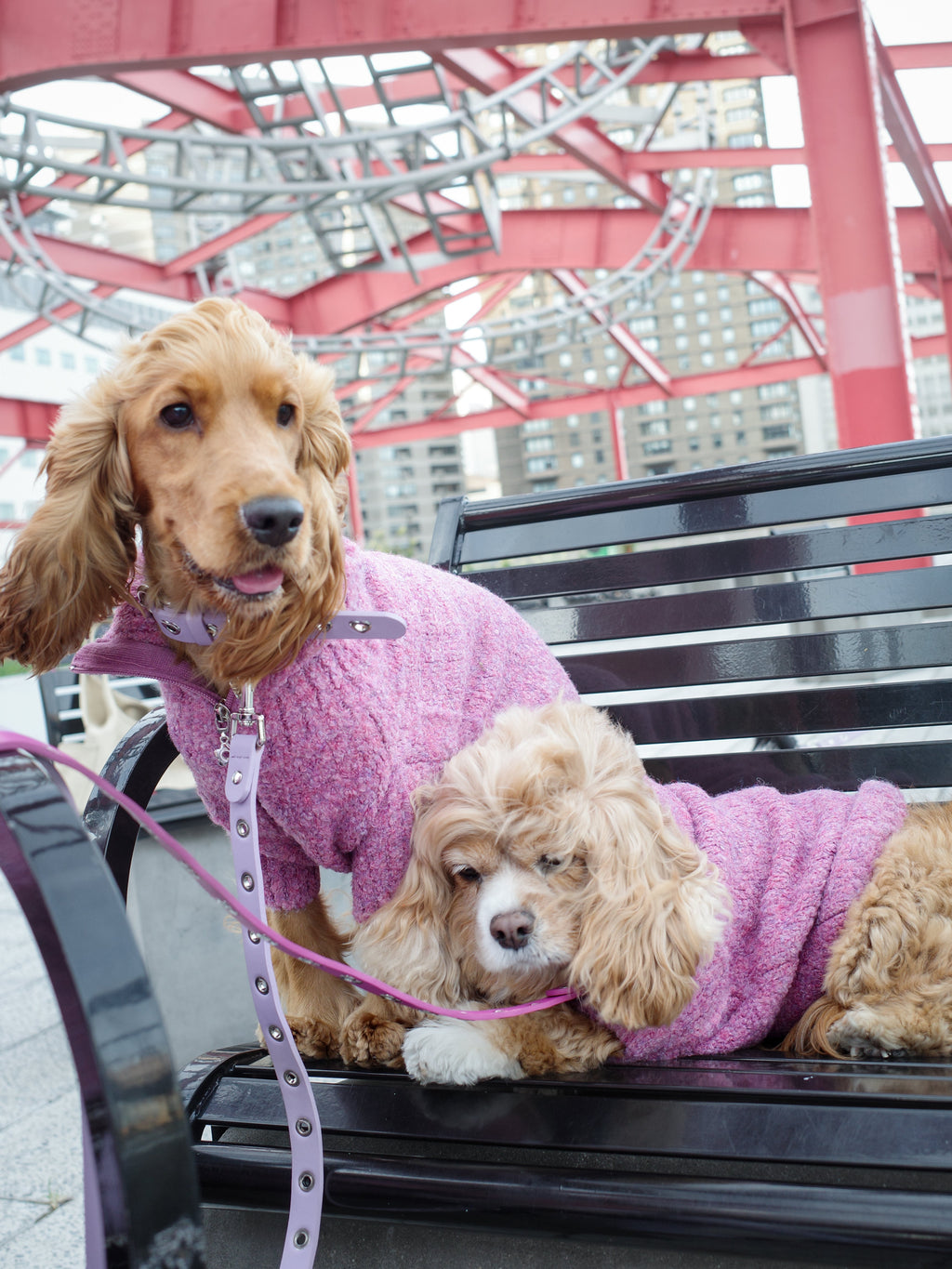 Dog Sweater - Pink Marble - 2