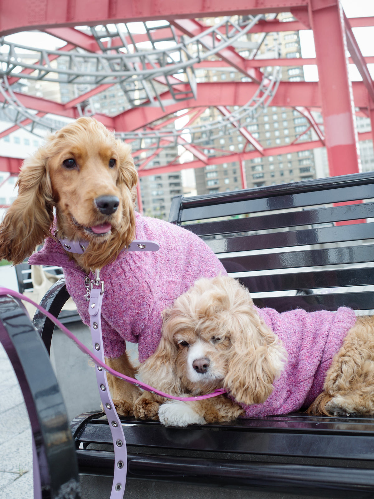 Dog Sweater - Pink Marble - 2