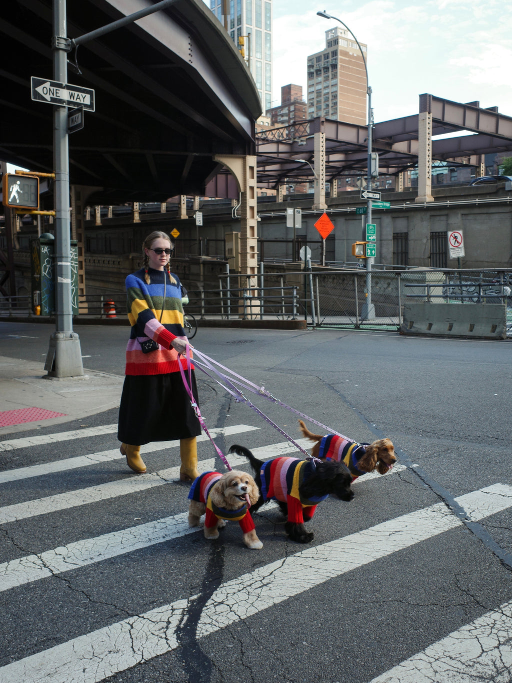 Dog Sweater - Rainbow - 8