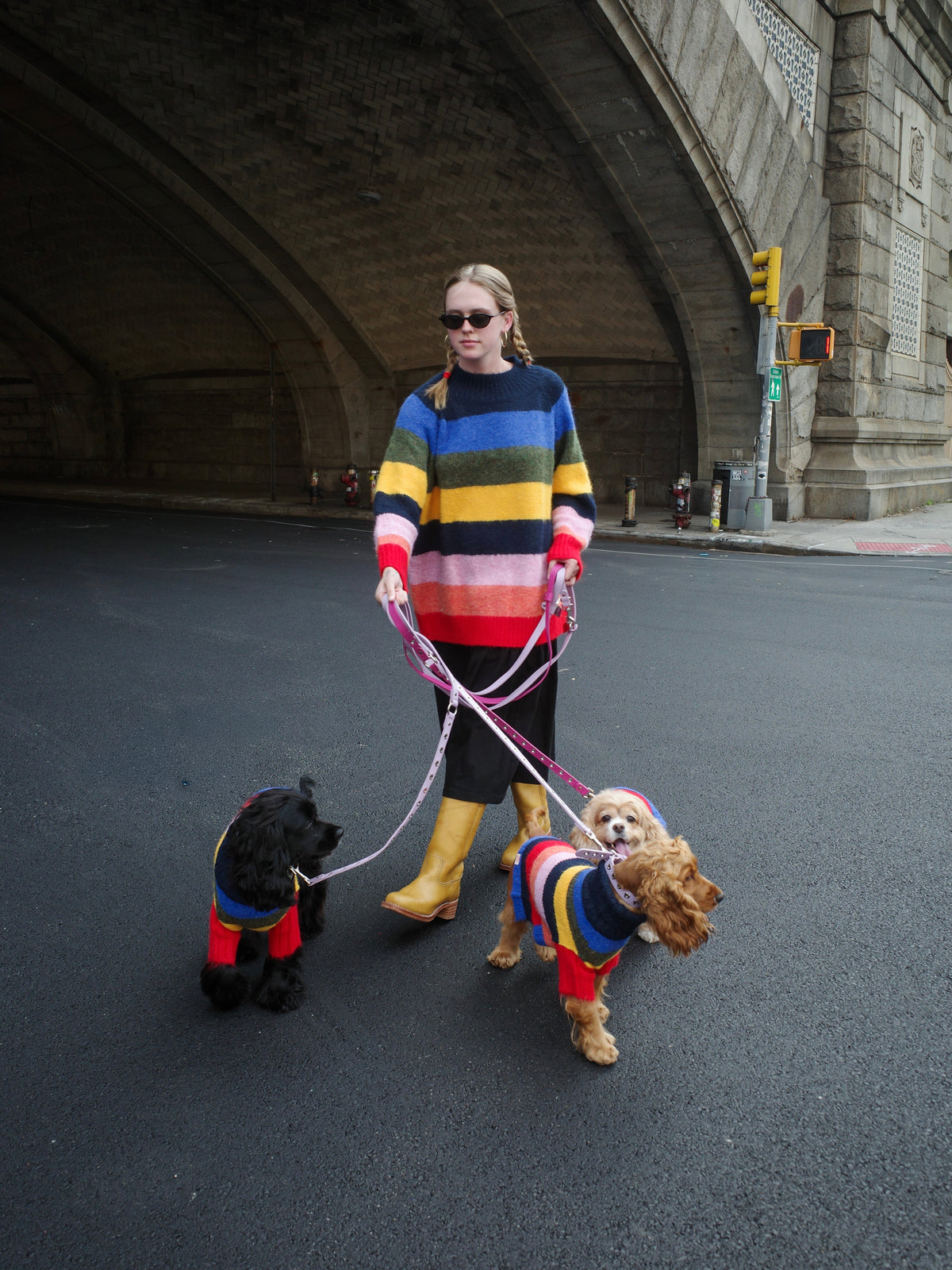 Dog Sweater - Rainbow - 7