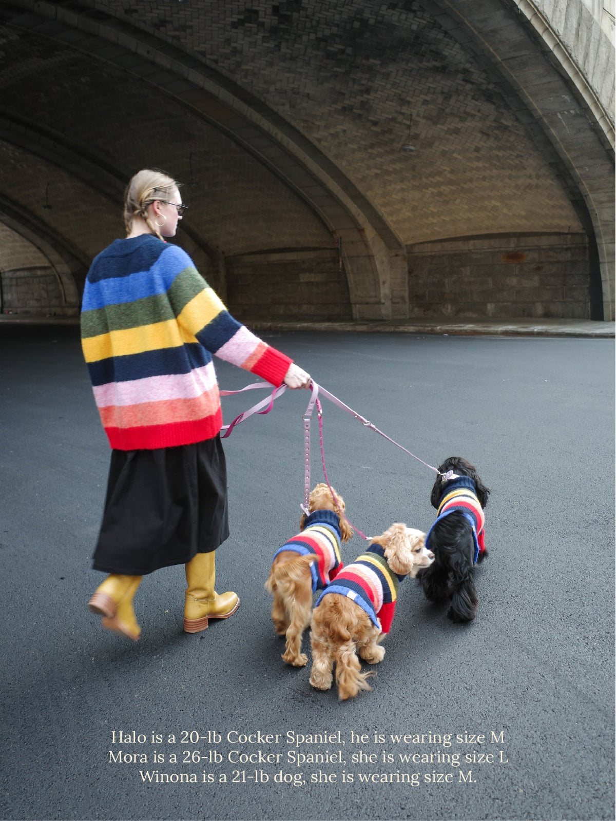 Dog Sweater - Rainbow - 4