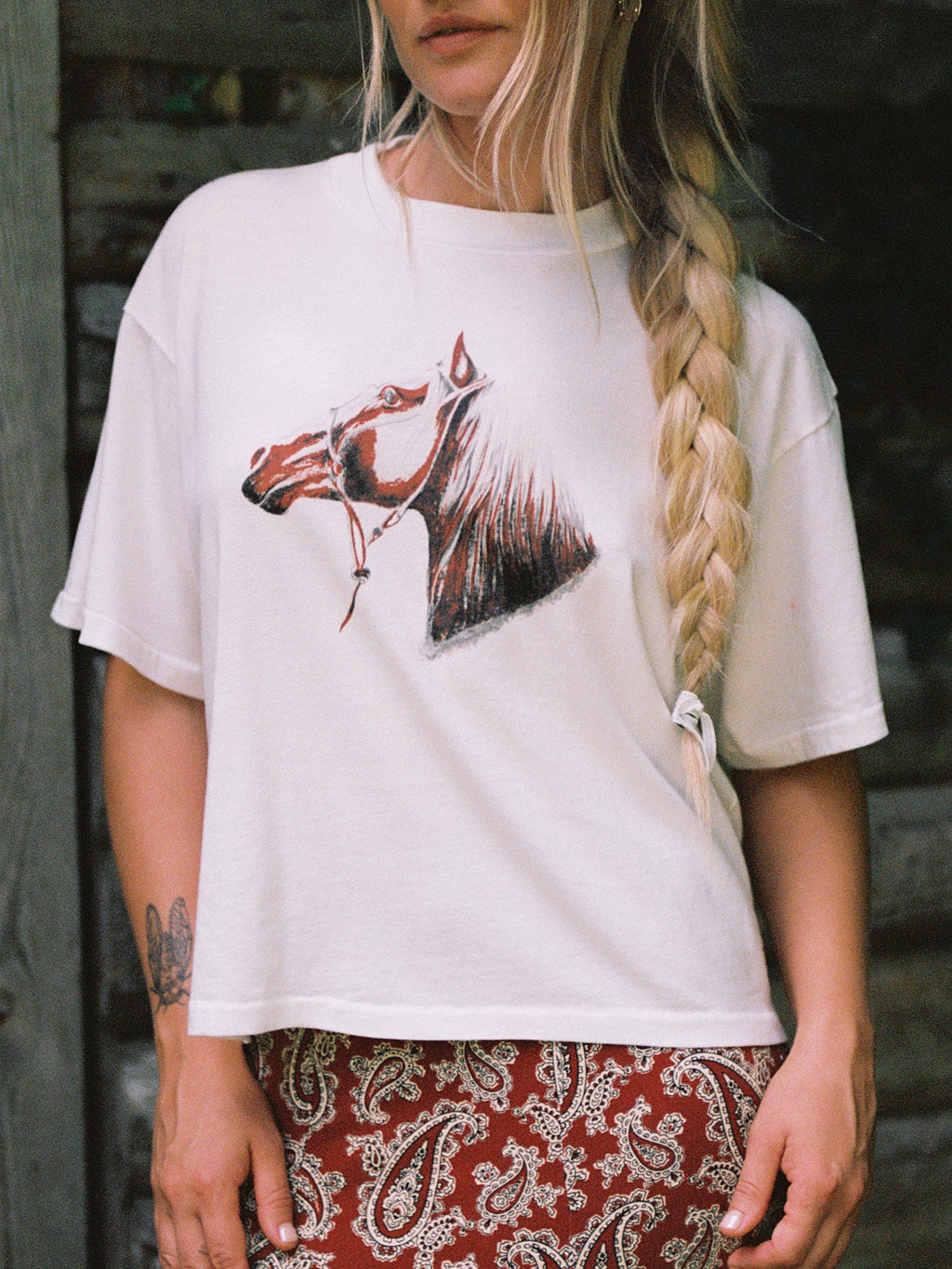 Charlie Tee - Heritage Horse - 2