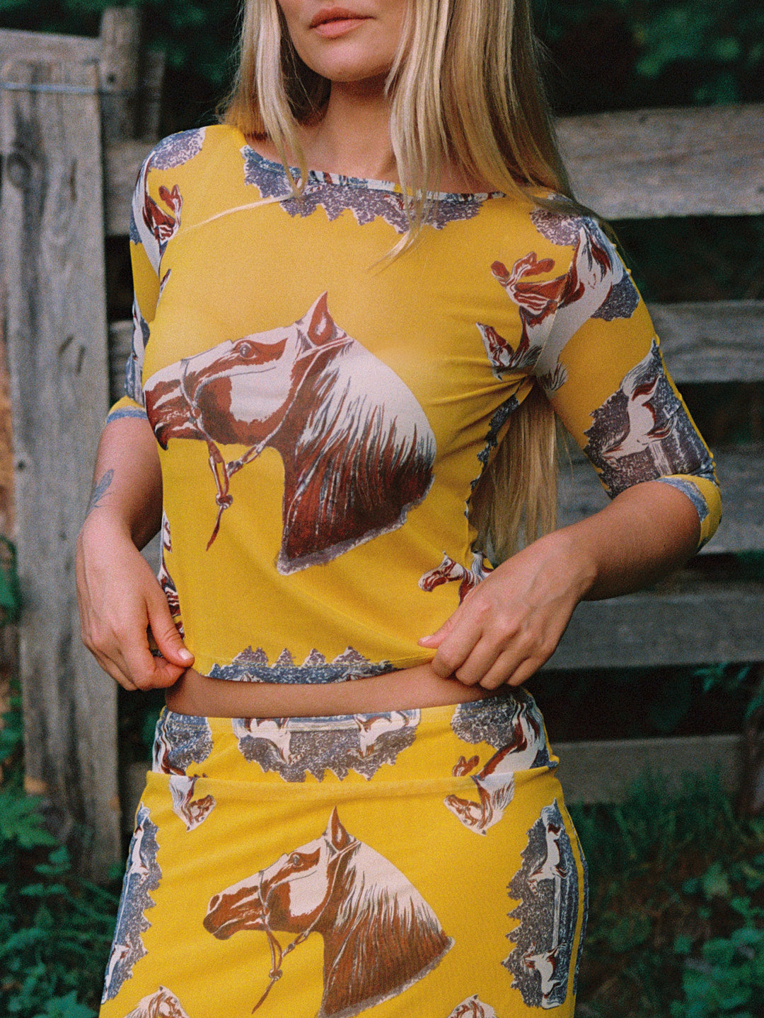 Nia Top - Heritage Horse - 2