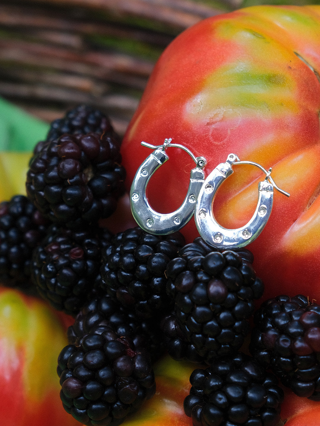 Horseshoe Earrings - Silver - 3