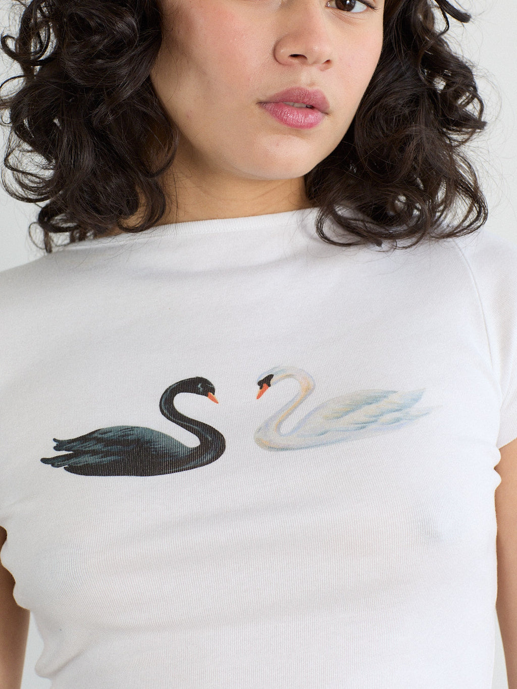 Alex Tee - Swans - 10