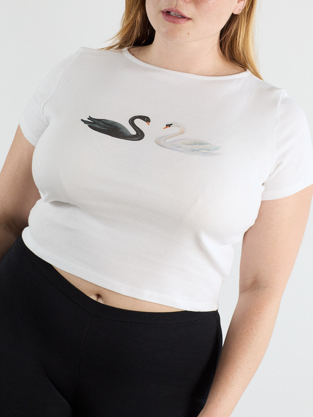 Alex Tee - Swans - 13