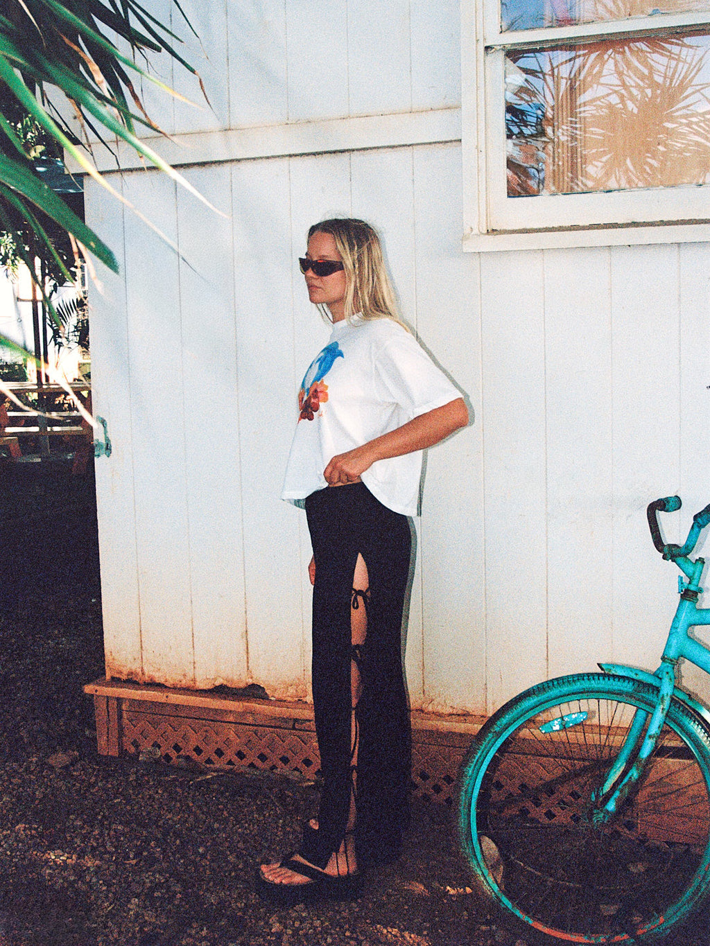 Charlie Tee - Dolphins - 6