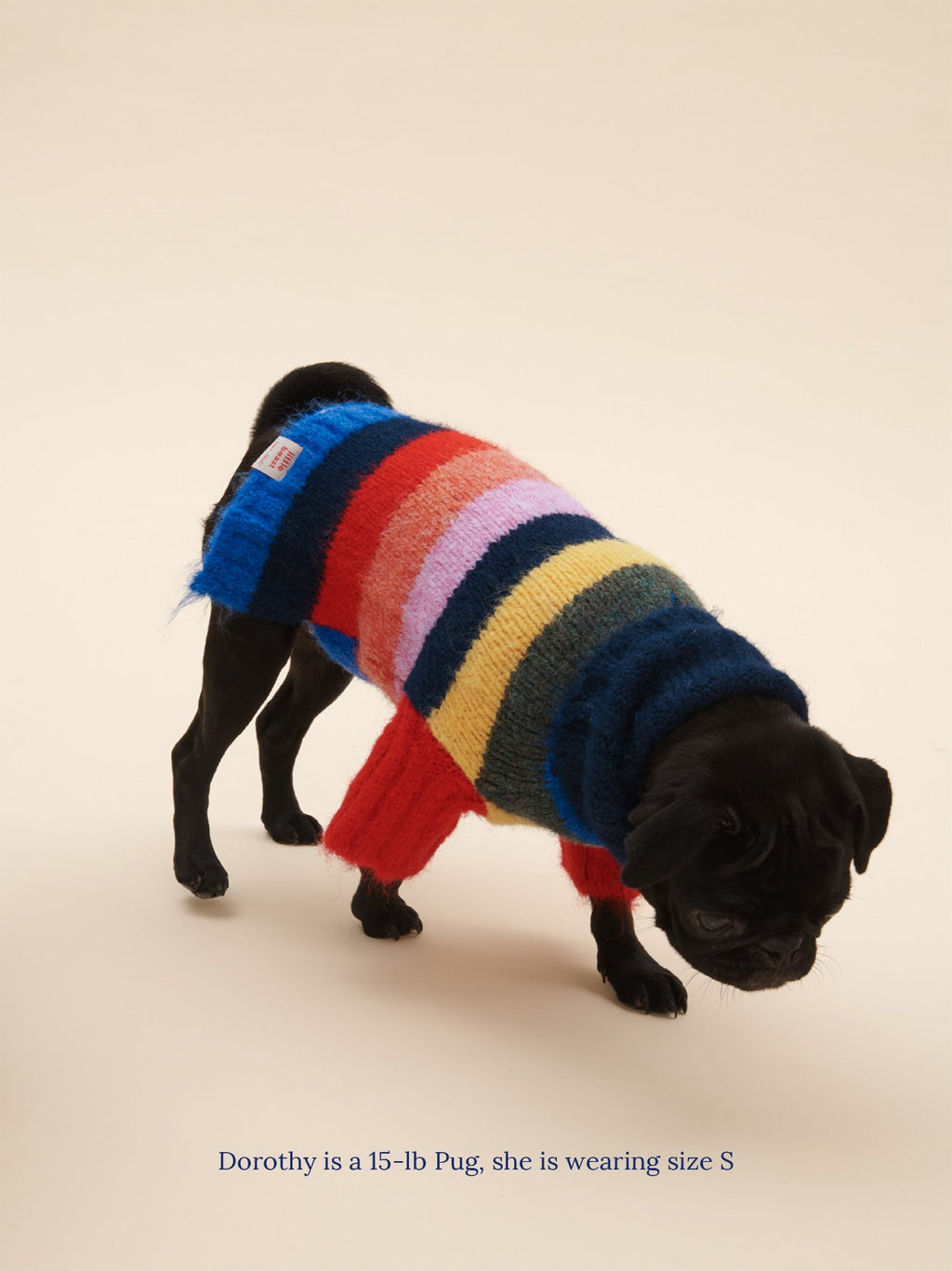 Dog Sweater - Rainbow - 13