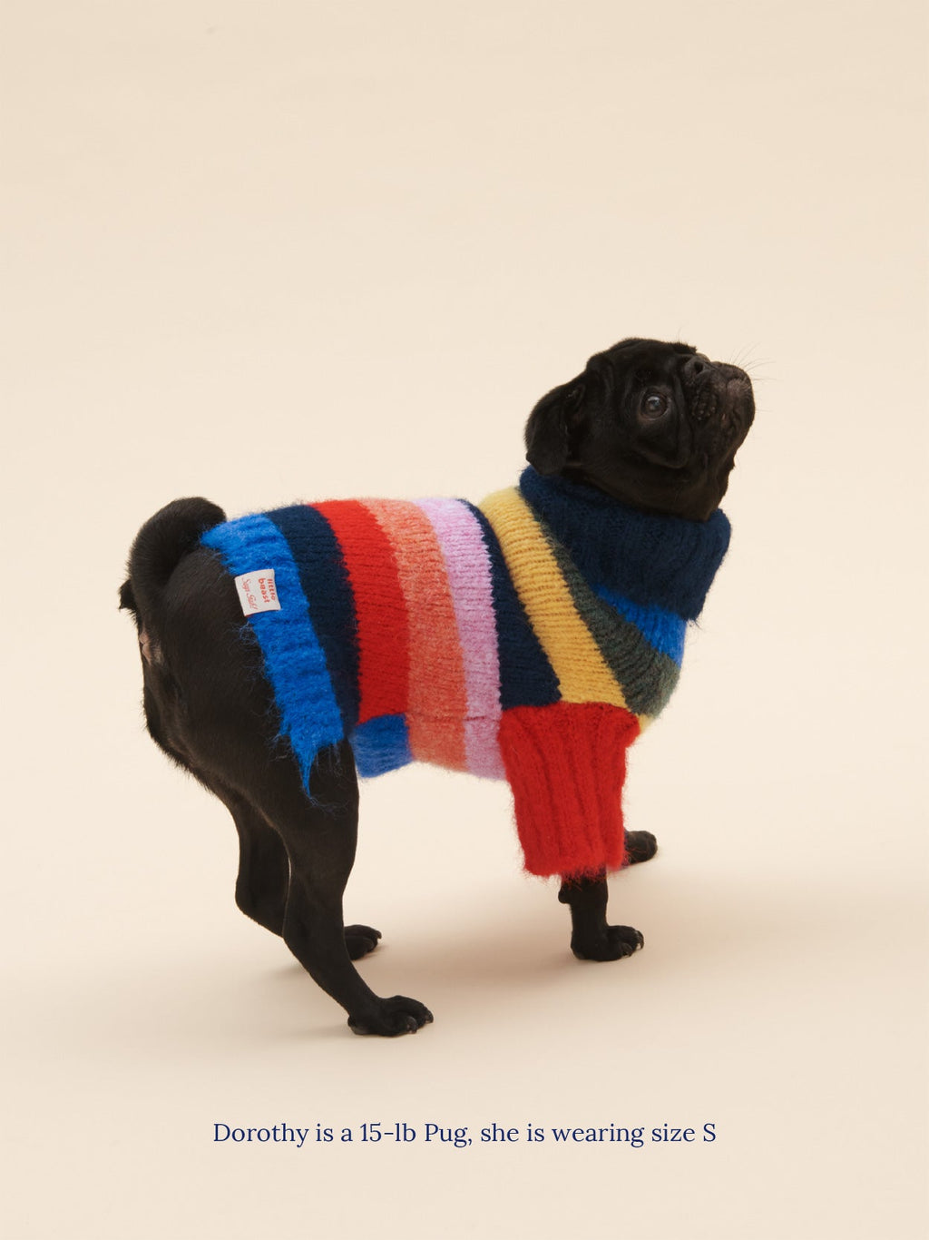 Dog Sweater - Rainbow - 12
