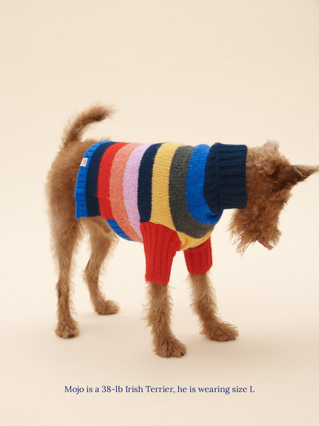Dog Sweater - Rainbow - 11