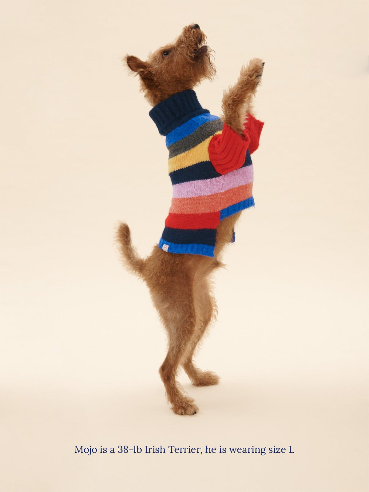 Dog Sweater - Rainbow - 10